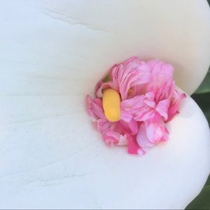 Meet your Posher, Erin